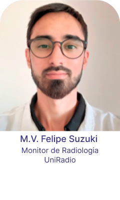 Felipe Suzuki-rx-2025