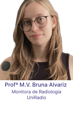prof-BRUNA ALVARIZ-02