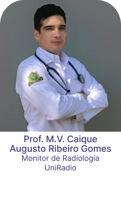 prof-Caique-04