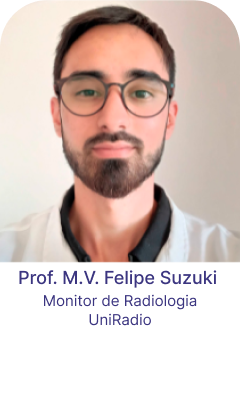 prof-Felipe Suzuki-03