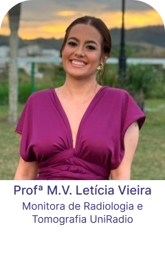 prof-LETICIA VIEIRA-02