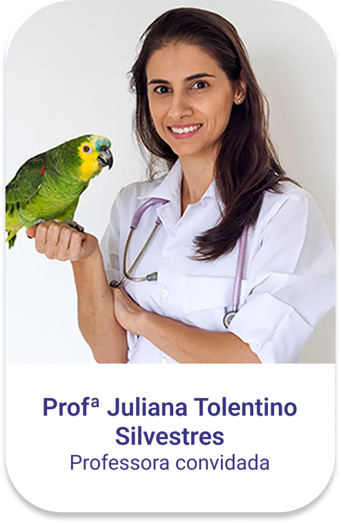 juliana-26